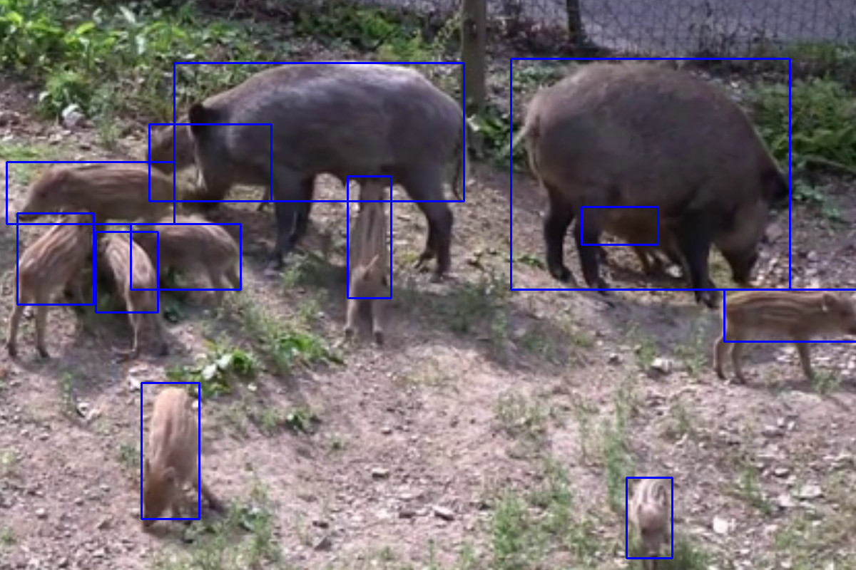Some bounding boxes in a video frame.